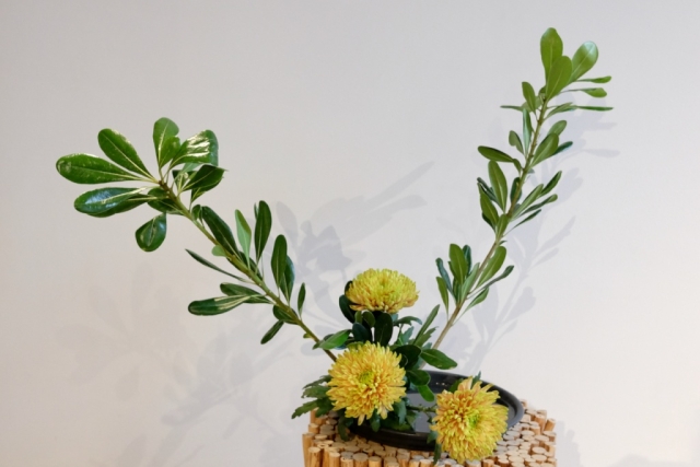 Ikebana