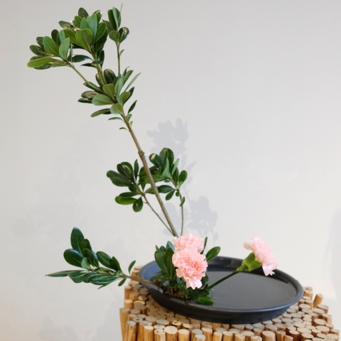 Ikebana