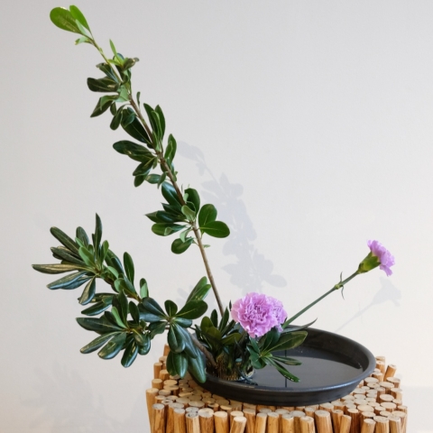 Ikebana