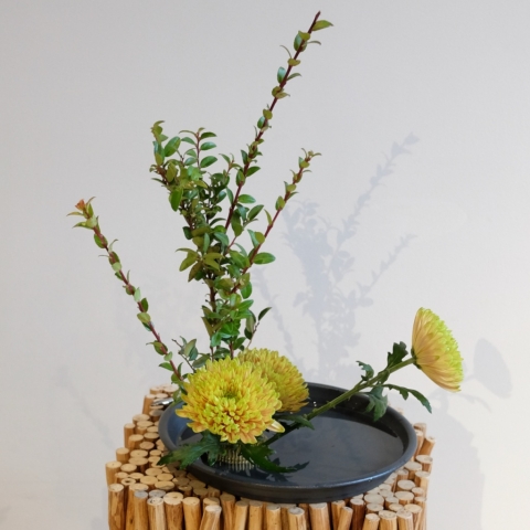 Ikebana