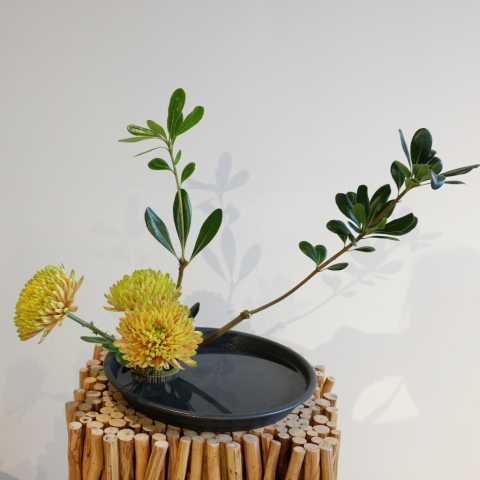 Ikebana