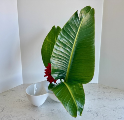 Ikebana