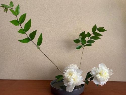 Lesson 1-13 Variation No.1 Slanting Style Moribana